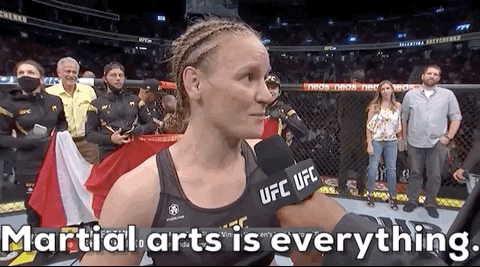 A UFC fighter saying "Martial Arts is everything"
